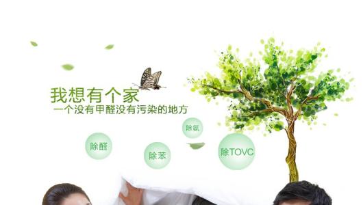 效果好、專業的光觸媒除甲醛產品有那些？